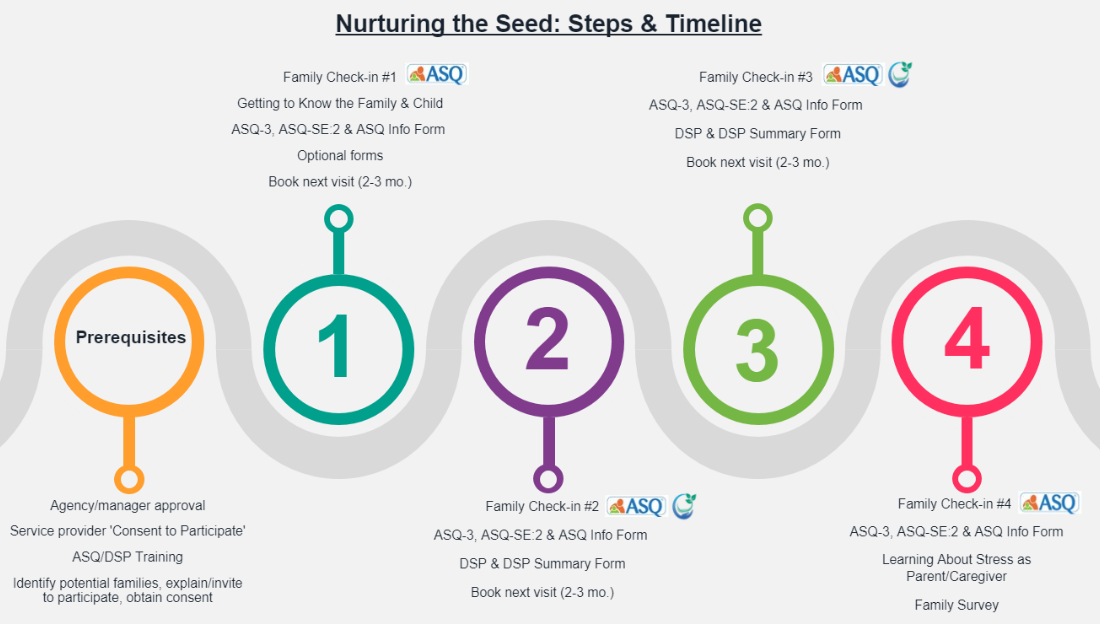 Nurturing the Seed: Steps & Timeline